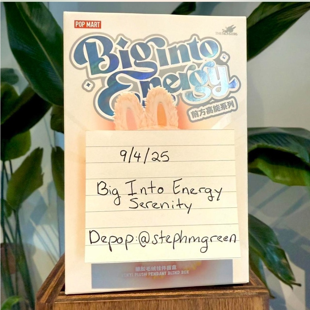 Big Into Energy Serenity Labubu Blind Box Plush Pendant Unopened Box - Picture 4 of 8